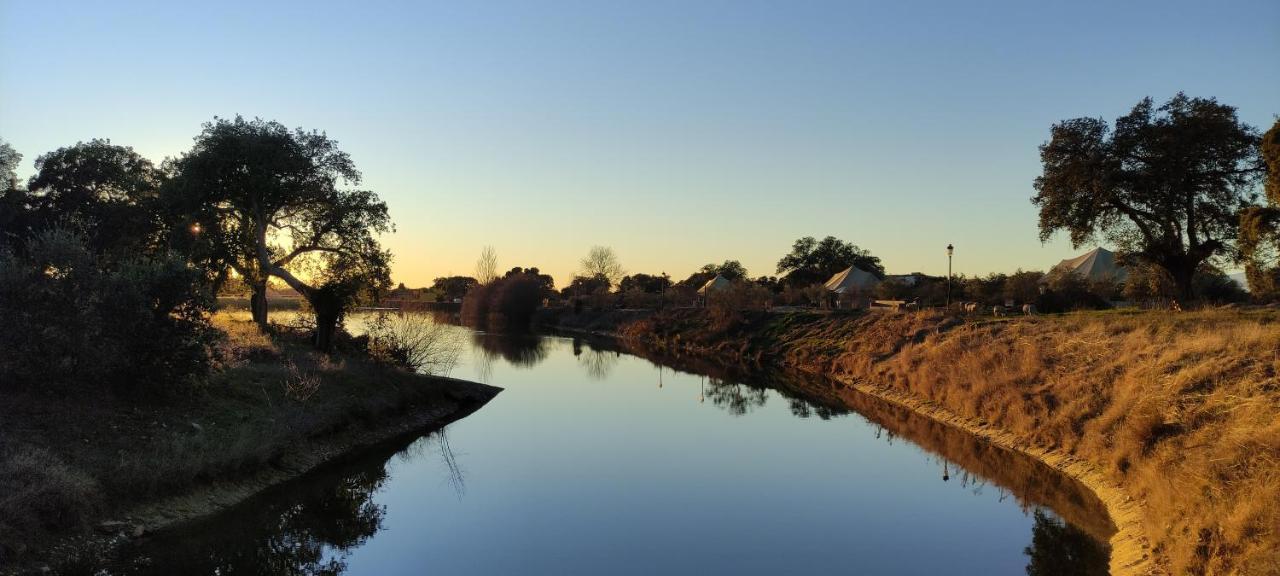 Vila El Toril Glamping Experience Parrillas Exteriér fotografie