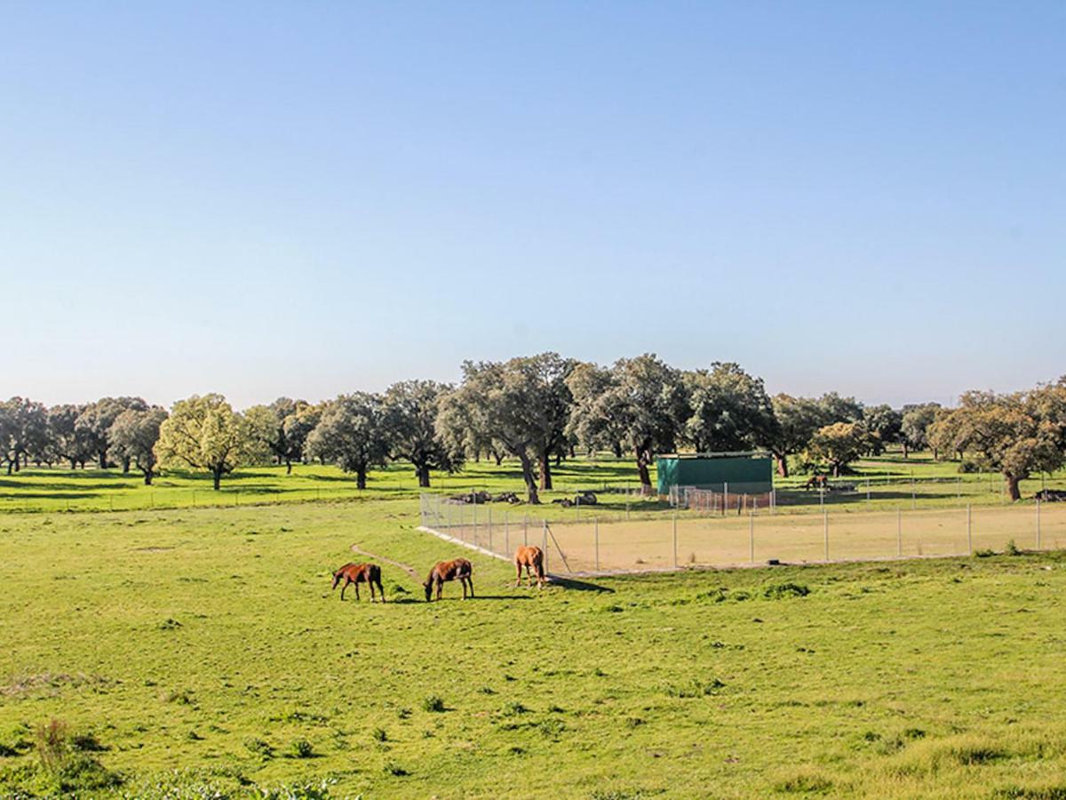 Vila El Toril Glamping Experience Parrillas Exteriér fotografie